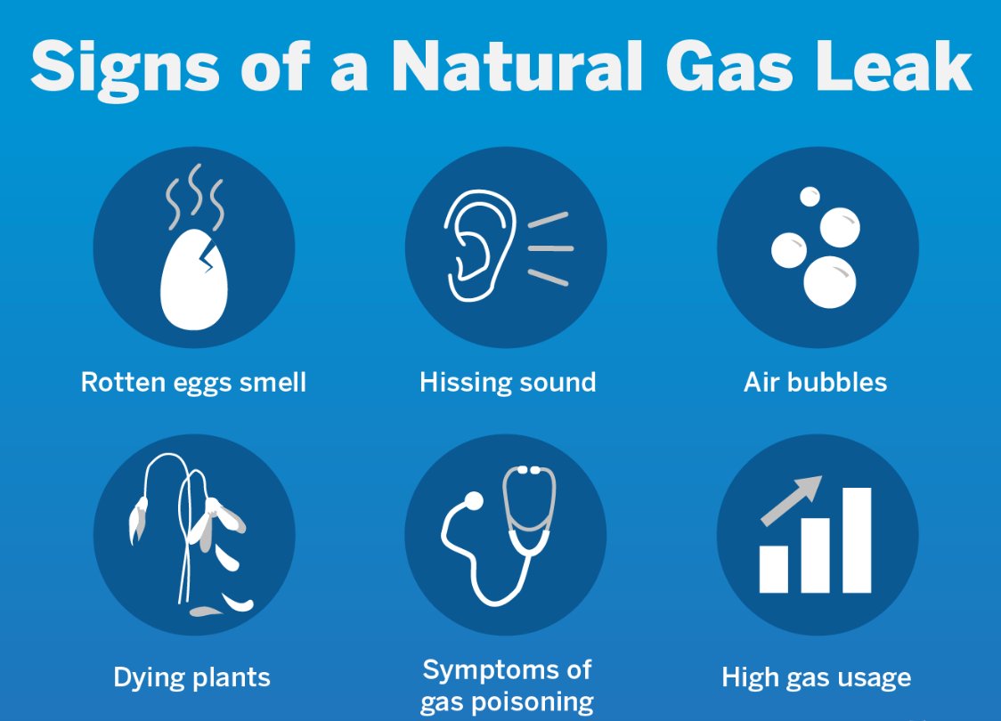 Natural Gas Leak Detection